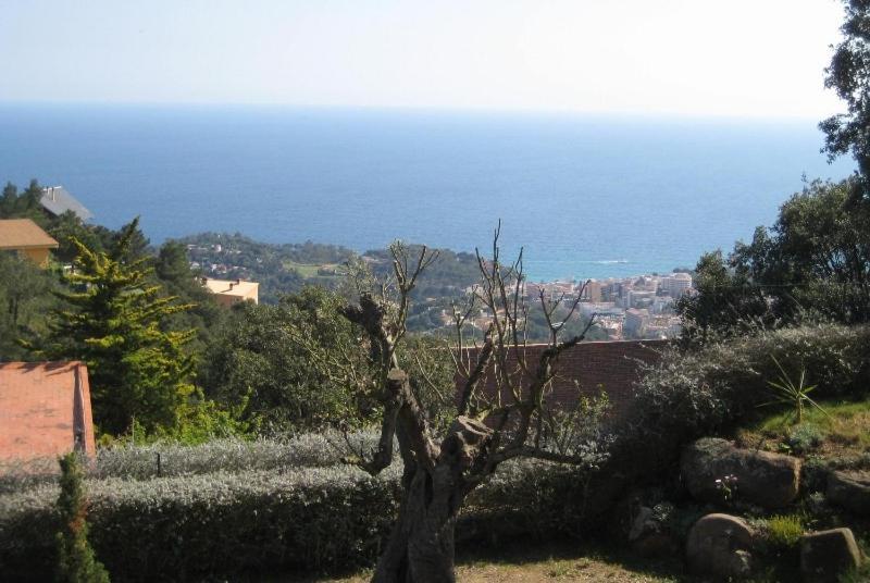 Club Villamar - Caipirinha Lloret de Mar Luaran gambar